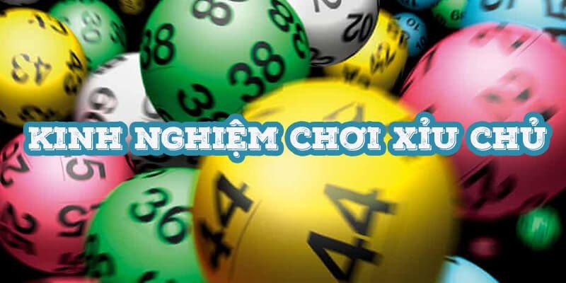 Mẹo soi xỉu chủ từ chuyên gia 