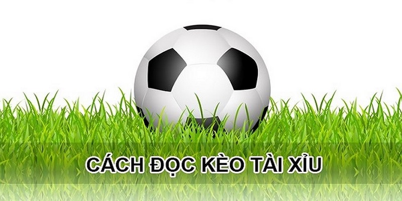 Kèo Tài Xỉu - Khái Niệm Và Phân Loại Các Dạng Cược Phổ Biến